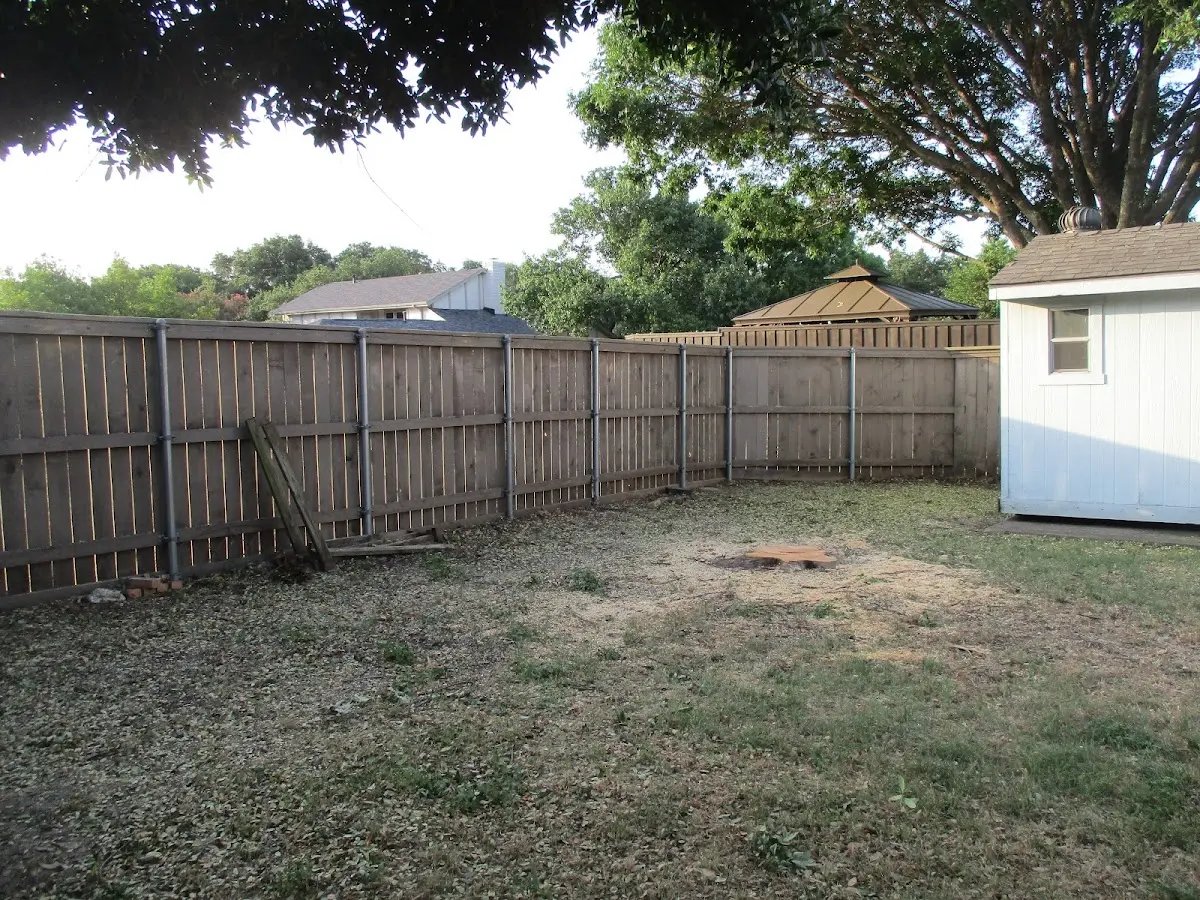 Cleared yard after professional tree removal in Sugarcreek